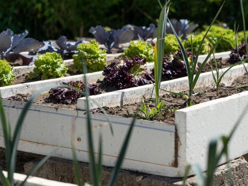Quinta De Carcavelos Natures Home อามารังติ ภายนอก รูปภาพ