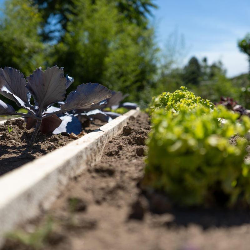 Quinta De Carcavelos Natures Home อามารังติ ภายนอก รูปภาพ